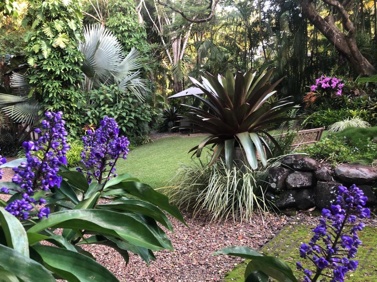Eden Rest Bed & Breakfast Cooroy Екстериор снимка