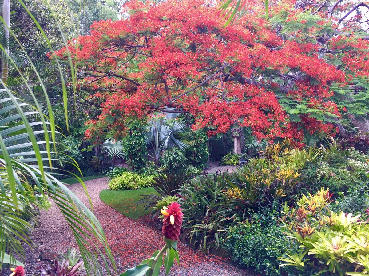 Eden Rest Bed & Breakfast Cooroy Екстериор снимка